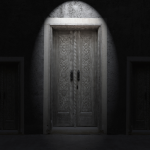 in the image there is a black and white french door that has two handles and a light over the top shining down onto it.