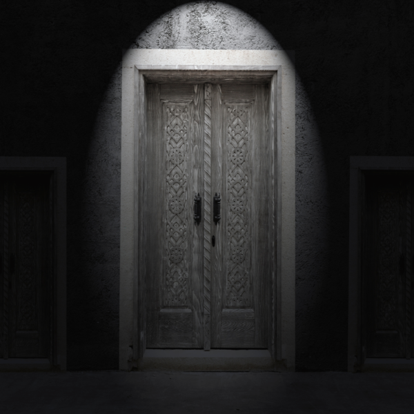 in the image there is a black and white french door that has two handles and a light over the top shining down onto it.